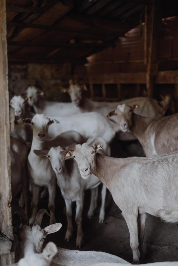 Rancho I Vancho Na Kata Omorani Exteriör bild